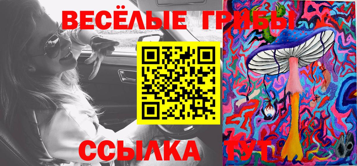Галлюциногенные грибы Psilocybe  Вход с VPN  продажа наркотиков  Мценск  Галлюциногенные грибы MAGIC MUSHROOMS 